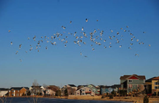 Erie area page imge 05