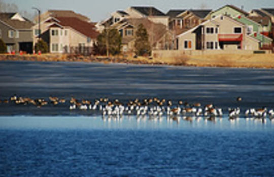 Erie area page imge 06