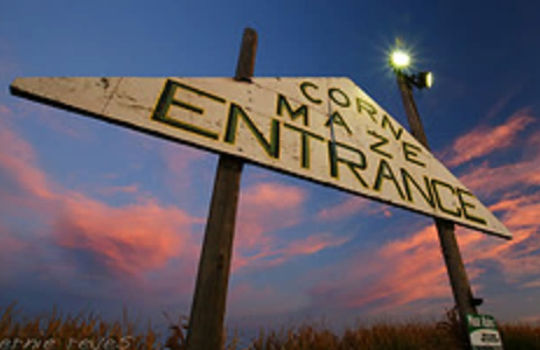 Erie area page imge 11