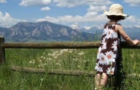 Louisville area page image 5