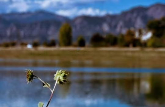 Louisville area page image 6