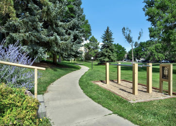 OLD_Screen Shot 2 2020-09-08 at 10.40.38 PM