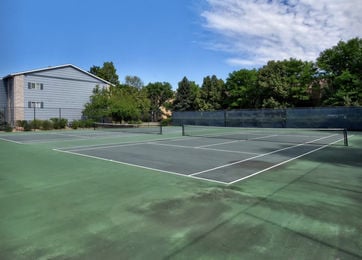 OLD_Screen Shot 7 2020-09-08 at 10.38.57 PM