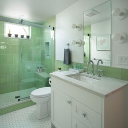 Hillsdale-Basement-Bathroom