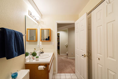 5386 Deer Creek_54 Lower Level Bath