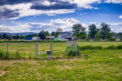 7179 Cardinal51 Views