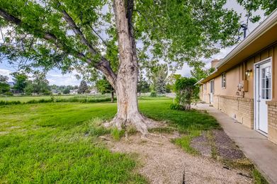 7179 CardinalSM6_48 Back Yard