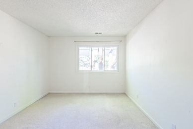 Bradley New_HBK_2984