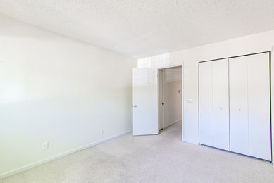 Bradley New_HBK_2993