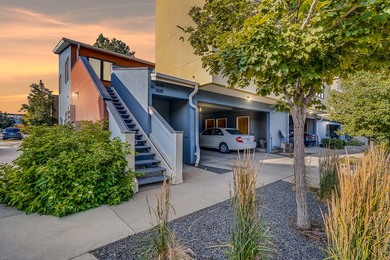 3205 Carbon Place_Exterior Twilight 1