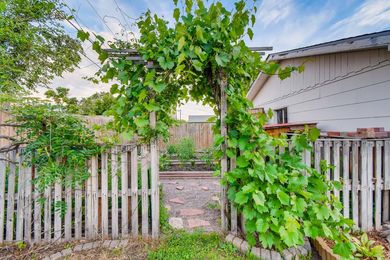 7420 Raleigh St Westminster CO &#8211; Web Quality &#8211; 042 &#8211; 46 Vegetable Garden