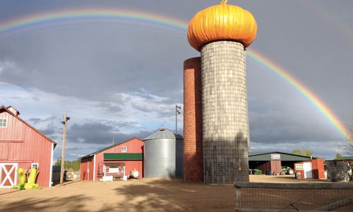 The 7 Best Ways to Experience Halloween In Boulder
