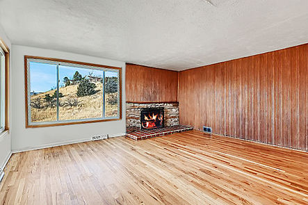 Living Area-fireplace