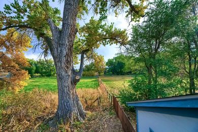 5163 Independence15_Backyard_IMG_8123