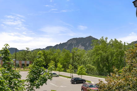 038-3705-Martin-Dr-Full