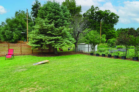 2210 Floral DSC05581_MLS