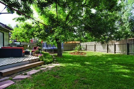 3835 Birchwood_DSC05045_MLS
