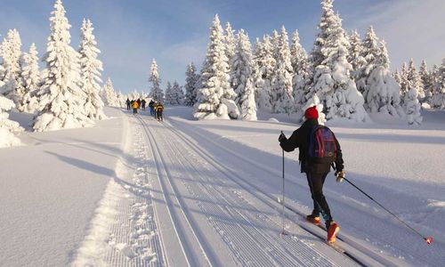 Best Spots For Cross-Country Skiing Near Boulder CO [Update 2022 - 2023]
