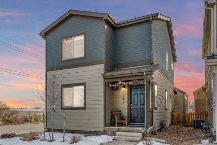 1-print-001-1175-Hummingbird-Cir-Print