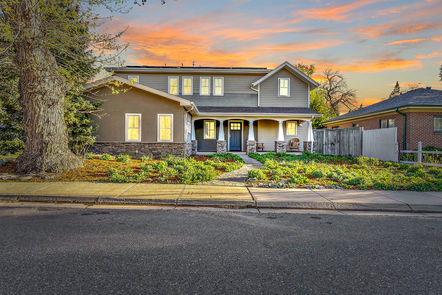 _1023 Forest Front Twilight 1