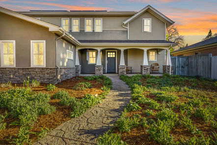 _1023 Forest Front Twilight 2