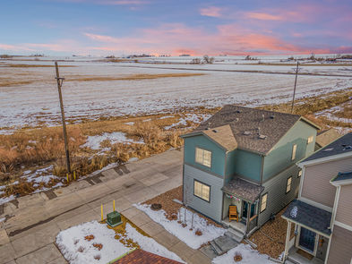 43-print-044-1175-Hummingbird-Cir-Print