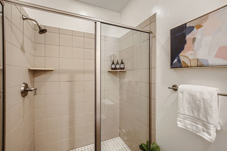 47 Lower Level Bathroom