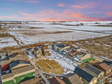 52-print-053-1175-Hummingbird-Cir-Print