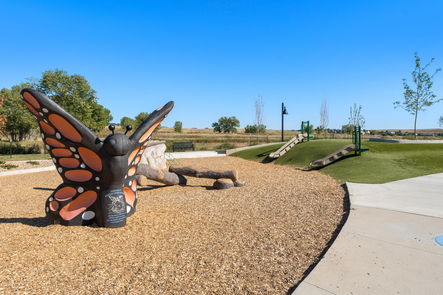 75-web-or-mls-DSC08871