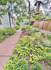 x1_644 Dewey Exterior