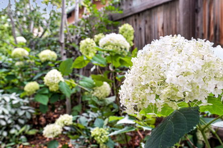 80-112-424-Concord-Ave-Print