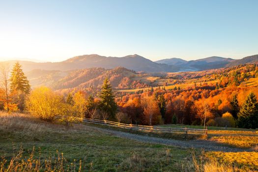 Country & Farm Living