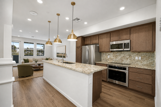 living:kitchen 2 - 3832