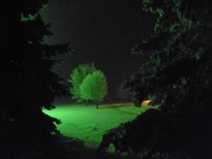 Nebraska frosted trees in the night