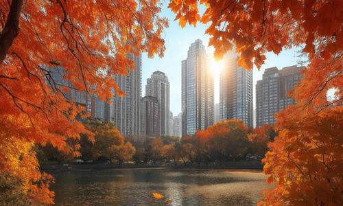 Your October 2025 Chicago Real Estate Market Update