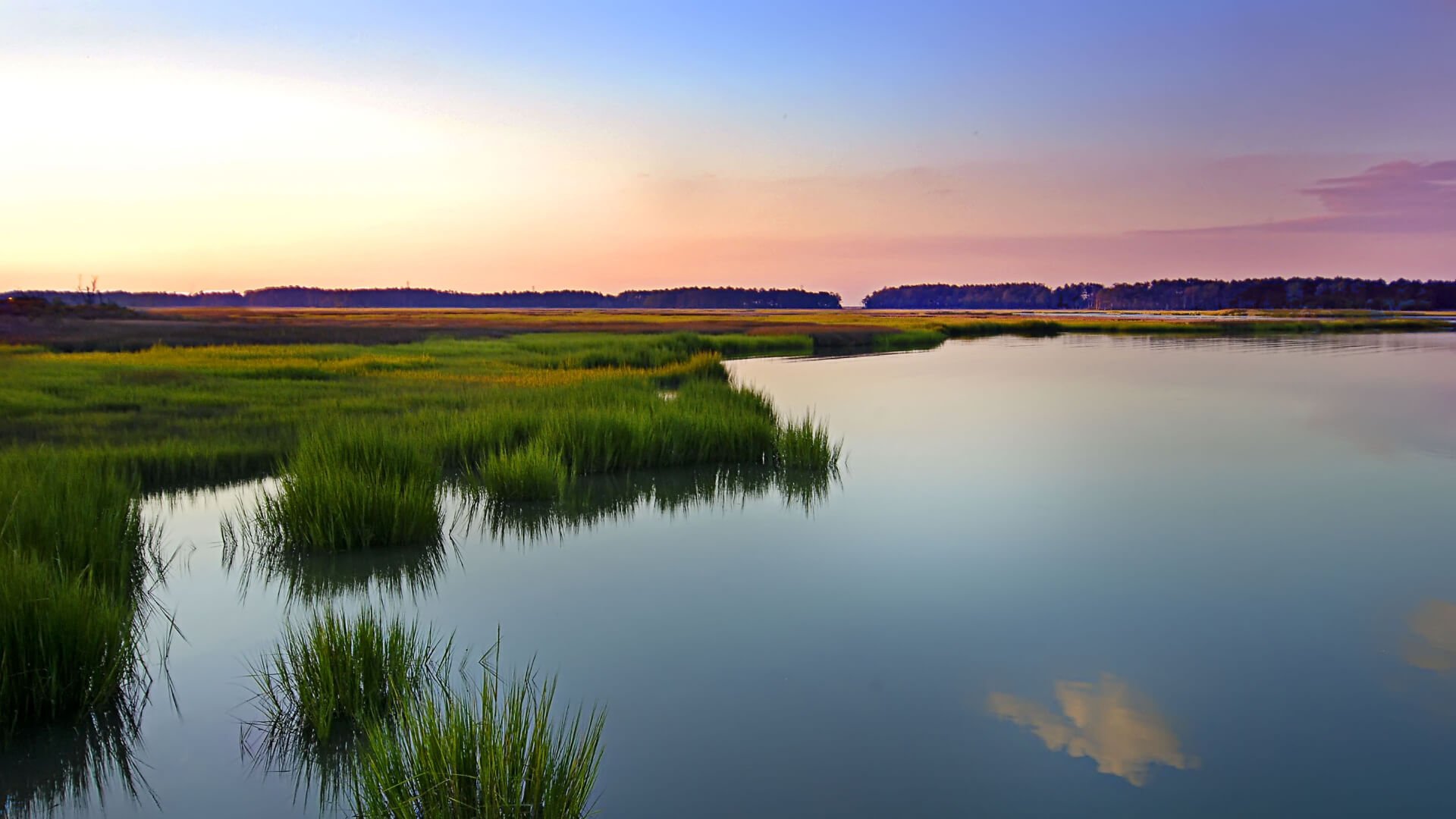 Isle of Wight County