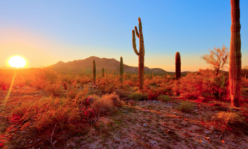 Best Realtors in Phoenix: 7 Urgent Step&hellip;