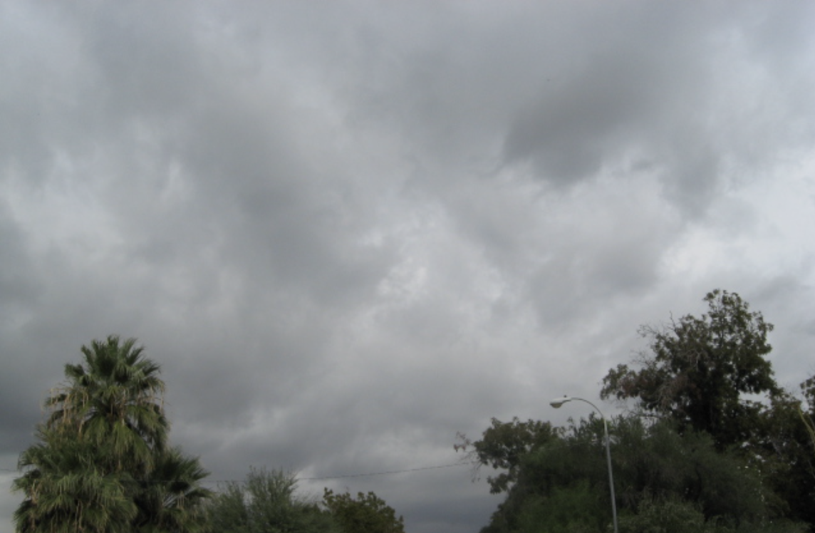 Moving to Phoenix? How to Prepare for Your…