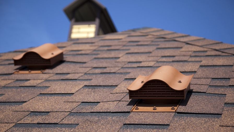 Screenshot 2026-02-11 at 1.31.02 PM