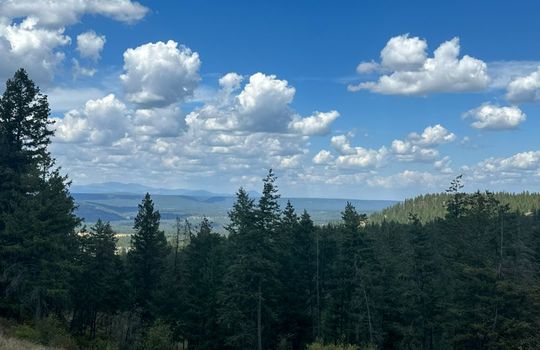 71097349600__4BA0129F-16F6-44B8-99A1-AA4DECE2B544