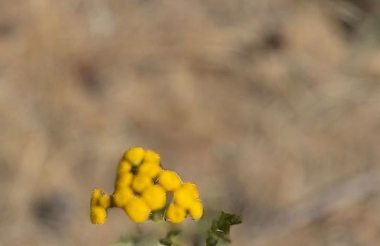 IMG_0826