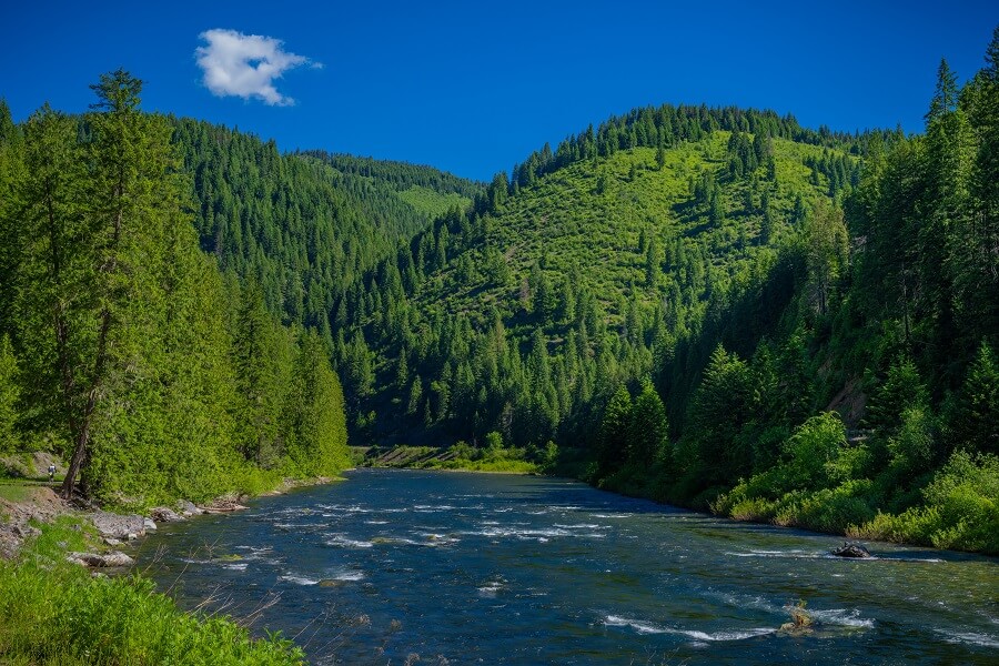 ST JOE RIVER