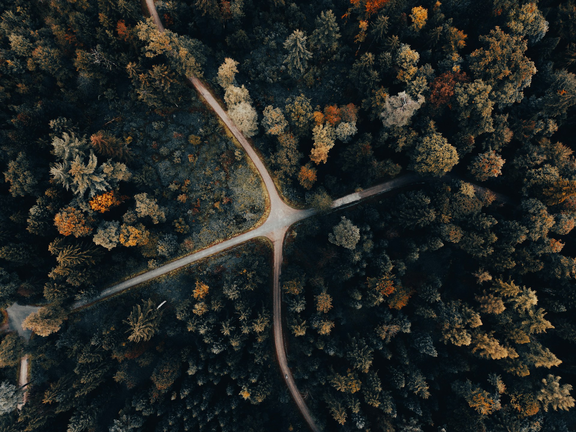 3 DMV Theme Parks for Your Next Family Adventure The Plenty Real Estate Group