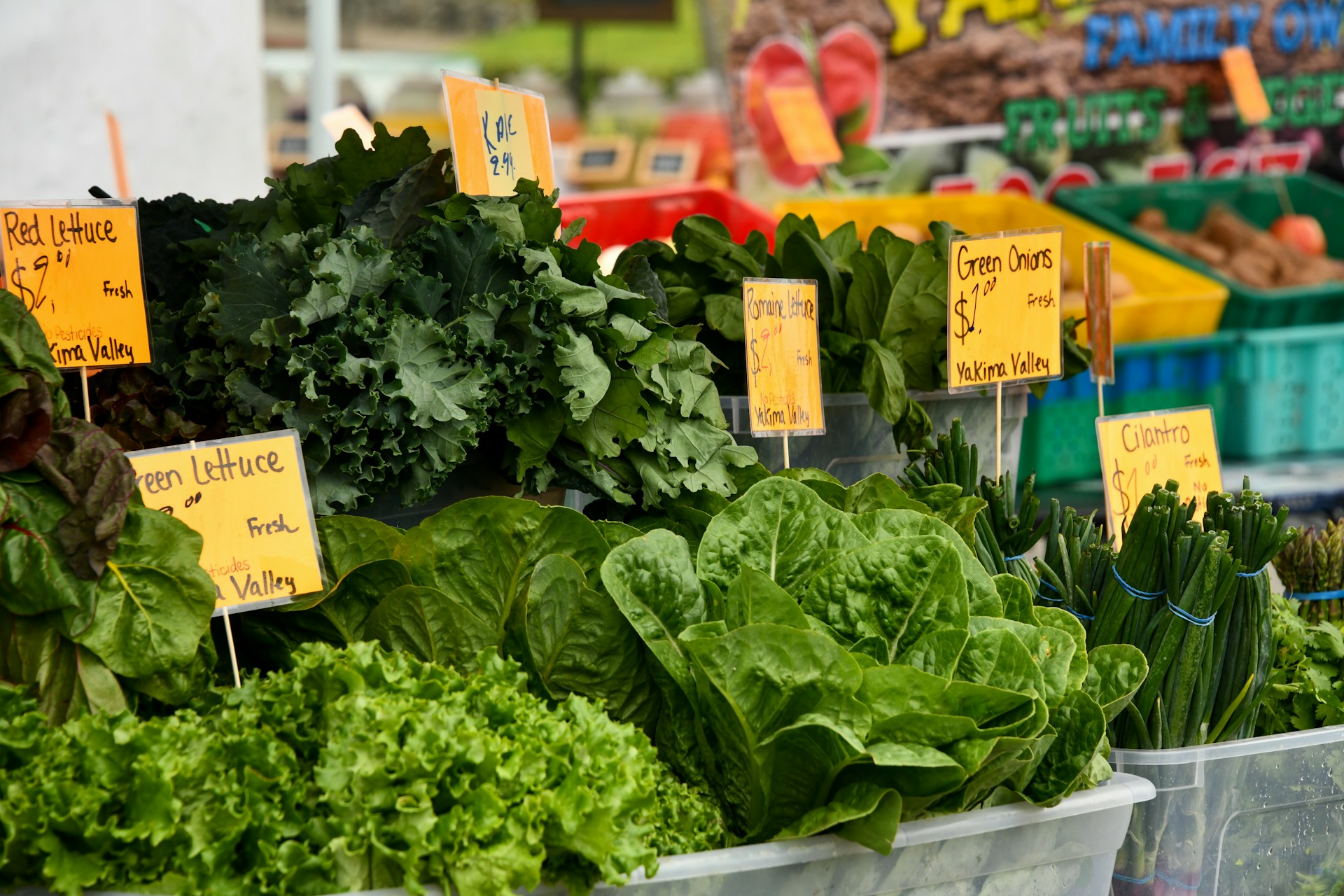 Local Farmers Markets You’ll Love in the DMV The Plenty Real Estate Group