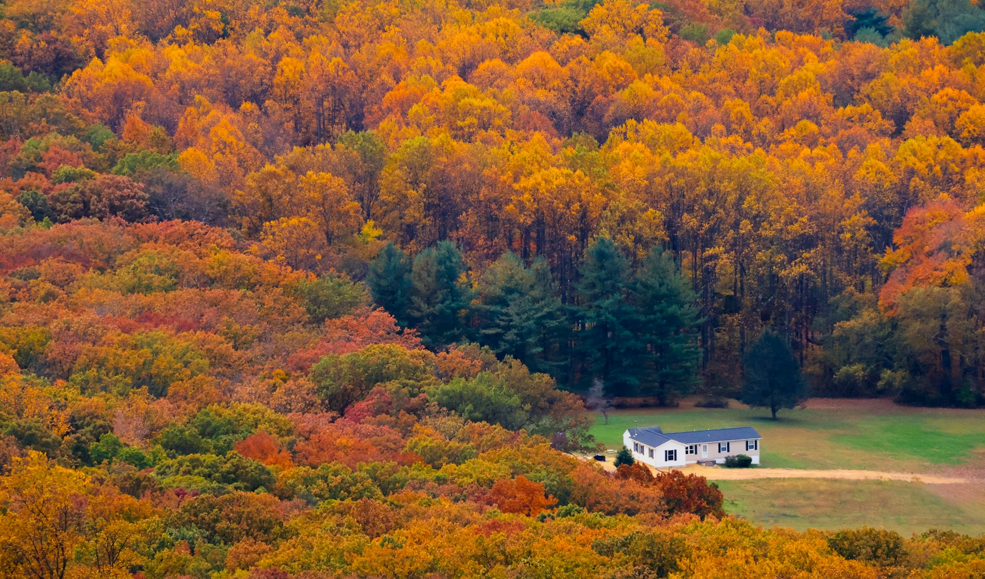 Top 5 Parks to Visit in Northern Virginia The Plenty Real Estate Group