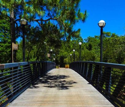 Florida-Botanical-Gardens-768x660