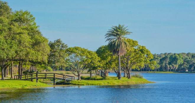 ccimage-shutterstock_649695496-768x407