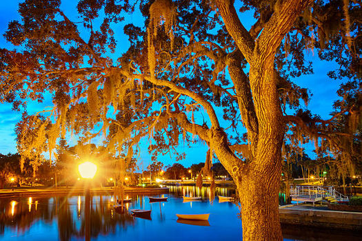 istockphoto-512162780-612x612