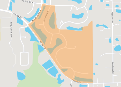 shadowlake village.png