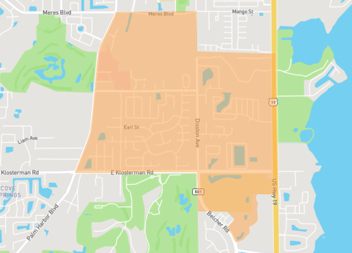 woods at anderson park.png